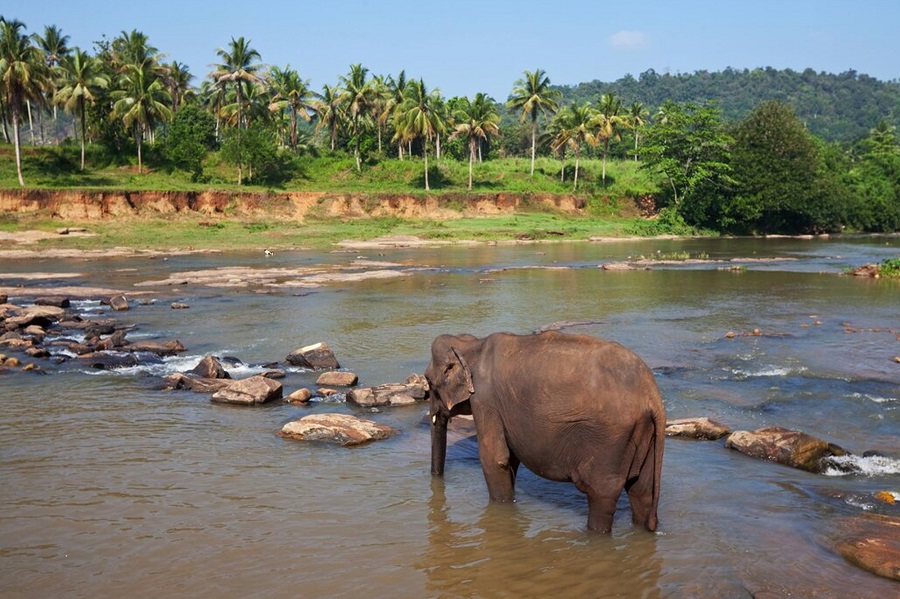 Beach Gateway to Sri Lanka